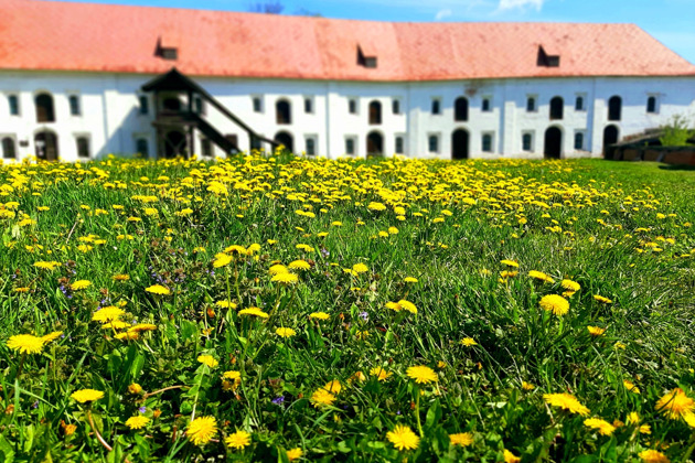 Живописная история Рязани