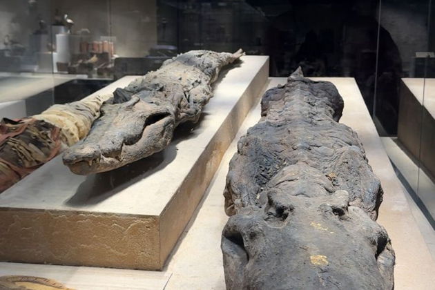 Фото экскурсии - Музей в Шарм Эль Шейхе - 6