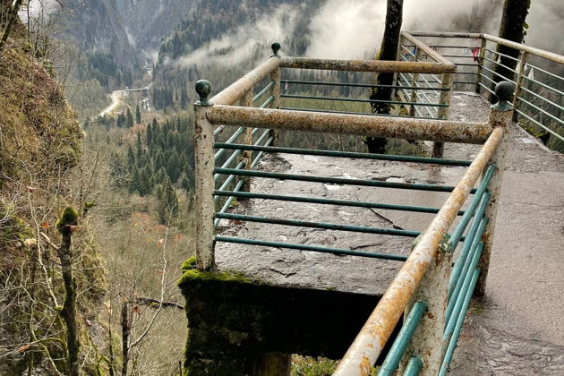 Фото экскурсии - Рицинский экспресс: путешествие к Гагре, озеру Рица и Пицунде - 5