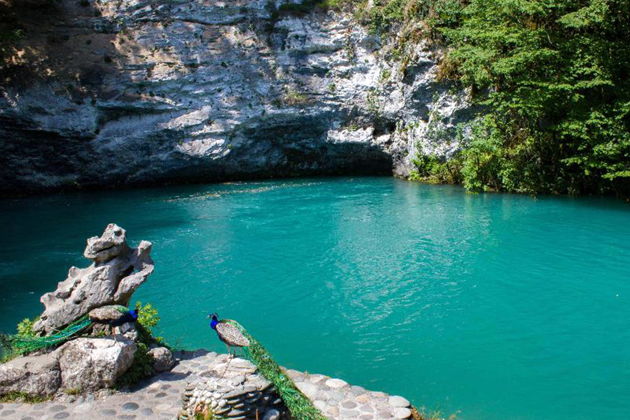 Фото экскурсии - Рицинский экспресс: путешествие к Гагре, озеру Рица и Пицунде - 7