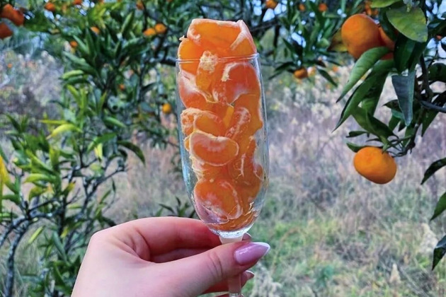 Фото - экскурсия: Рицинский экспресс: путешествие к Гагре, озеру Рица и Пицунде