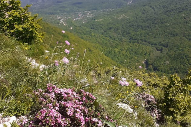 Фото экскурсии - Прогулки к обзорным точкам скал Ленина и Пирамида в Мезмае - 5