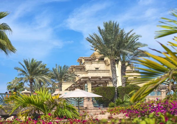 Входной билет в аквапарк Wild Wadi - фото 2