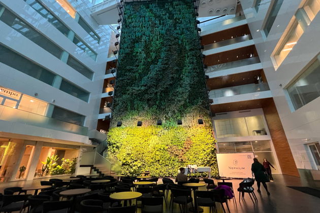 Фото экскурсии - Квест по Хамовникам «Красная Роза» с живым ведущим - 9