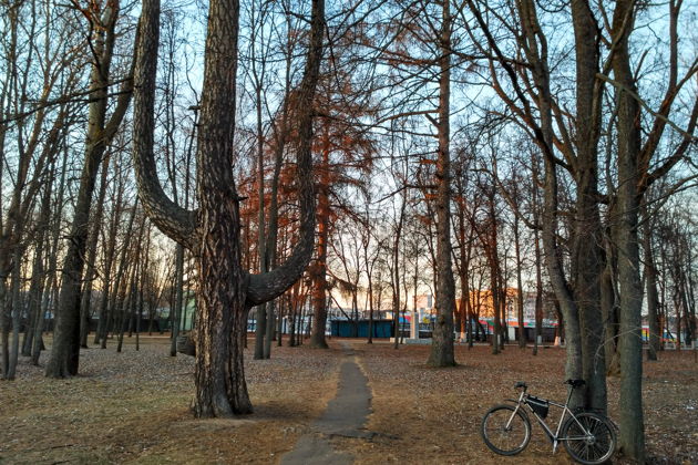 Фото экскурсии - Путешествие по старинным городам и святым местам вдоль трассы М-12: Выкса, Дивеево, Арзамас - 5