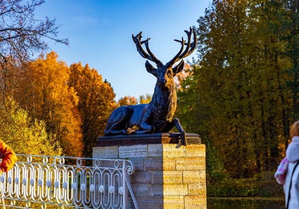 Махнем, пожалуй, в Павловск: экскурсия по Павловскому парку - фото 2