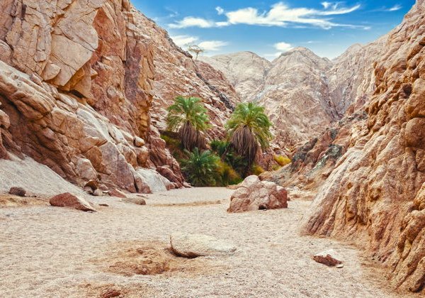 Путешествие в Дахаб: каньон Салама, снорклинг, верблюды - фото 1