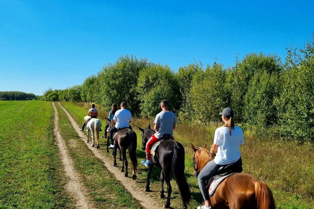 Фото экскурсии - Верховая прогулка по живописным окрестностям Суздаля - 12