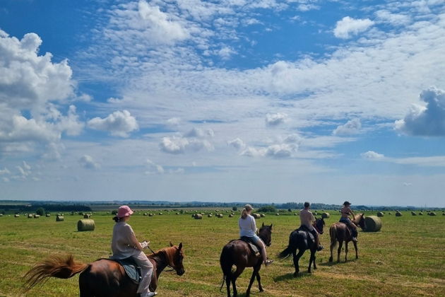 Фото экскурсии - Верховая прогулка по живописным окрестностям Суздаля - 13