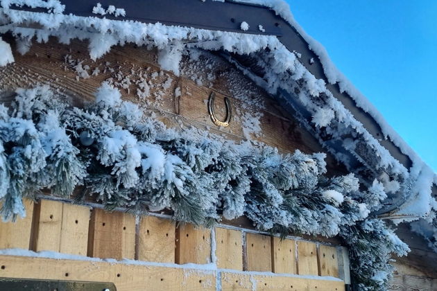 Фото экскурсии - Верховая прогулка по живописным окрестностям Суздаля - 7