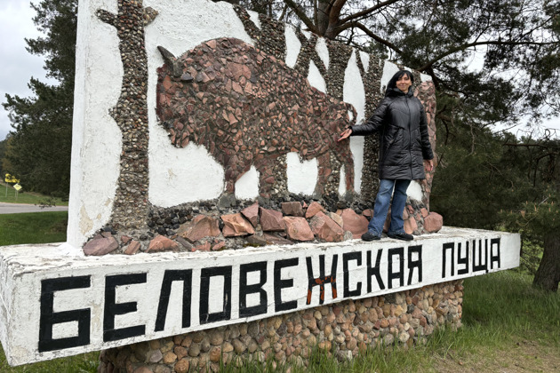 Фото - экскурсия: Откройте для себя Брест и Беловежскую пущу в увлекательном путешествии