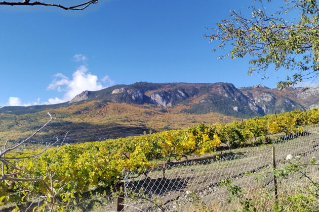 Фото экскурсии - Прогулка по Гурзуфу в поисках счастливых мгновений - 5