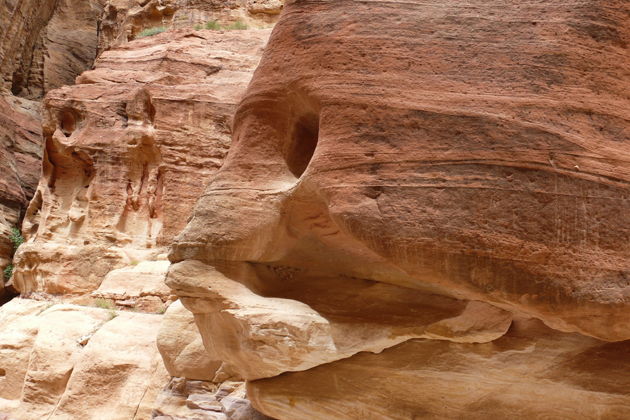 Фото экскурсии - Тур в Петру из Тель Авива - 5