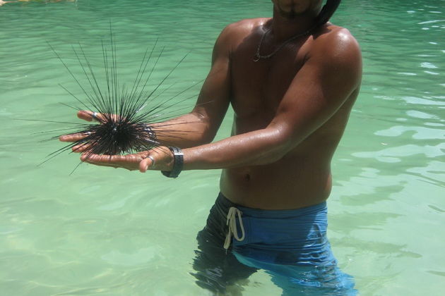 Фото экскурсии - Открой для себя удивительный архипелаг Хонг - 2