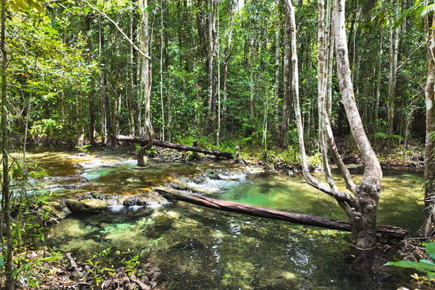Фото экскурсии - Откройте сокровища Краби: целебные источники, бирюзовый водоем и святыня Тигра - 9