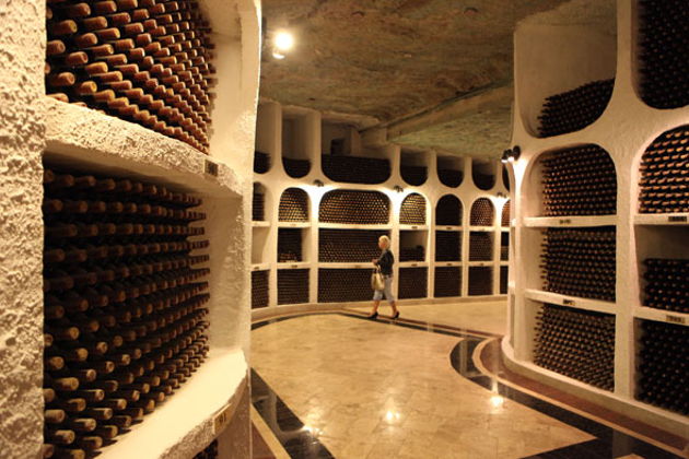 Фото экскурсии - Экскурсия в винные подвалы Криково с включенным трансфером - 5