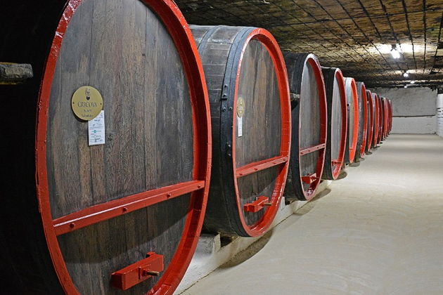 Фото экскурсии - Экскурсия в винные подвалы Криково с включенным трансфером - 7