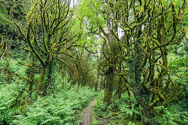 Фото - экскурсия: Мачахела - гостеприимство по-аджарски. От горных вершин до щедрого застолья!