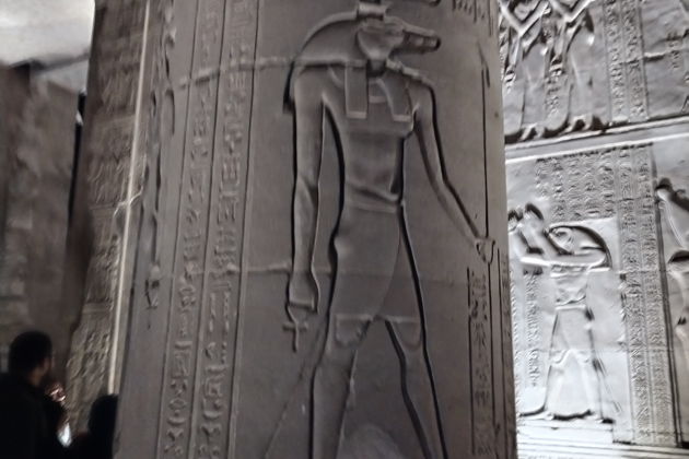 Фото экскурсии - Эдфу и Комомбо: борьба между добром и злом - 5