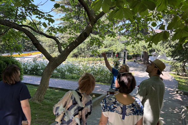 Фото экскурсии - Прогулка по Приморскому бульвару с изучением растений - 2