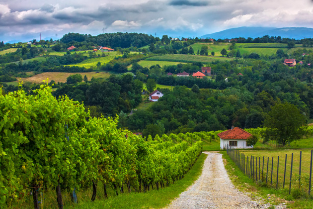 Фото - экскурсия: Винное путешествие по Сербии с дегустациями: Живели на шесть дней