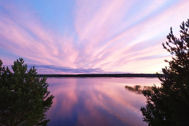 Фото экскурсии - Узнай главные секреты Петрозаводска на обзорной прогулке - 7