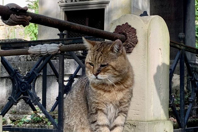 Фото экскурсии - Прогулка по знаменитому некрополю Пер-Лашез в Париже - 6