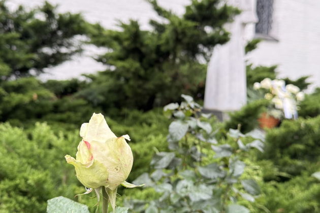 Фото экскурсии - Прогулка по Замоскворечью: православные святыни и сияющие купола - 10