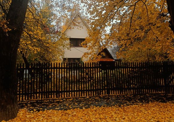 «Остров Сокол: поселок художников в 10 км от Кремля» — пешеходная экскурсия - фото 1
