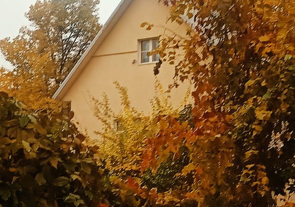 «Остров Сокол: поселок художников в 10 км от Кремля» — пешеходная экскурсия - фото 3