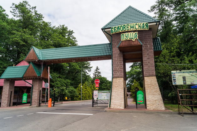 Фото экскурсии - Двухдневное путешествие в Брест и Беловежскую пущу - 10