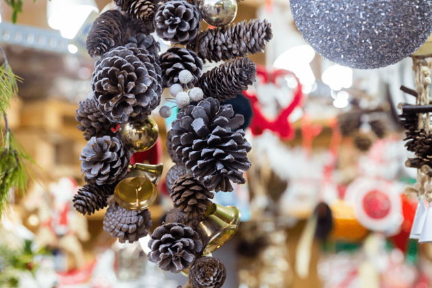 Фото экскурсии - Новогодний Петербург: прогулка сквозь историю празднования Нового года - 4