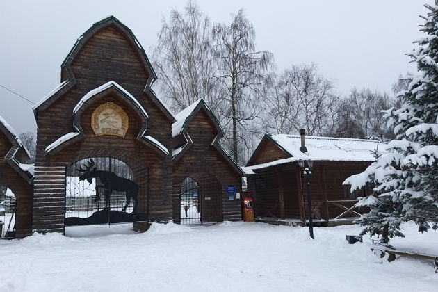 Фото экскурсии - Посетите Сумароковскую лосиную ферму и познакомьтесь с лесными гигантами - 10