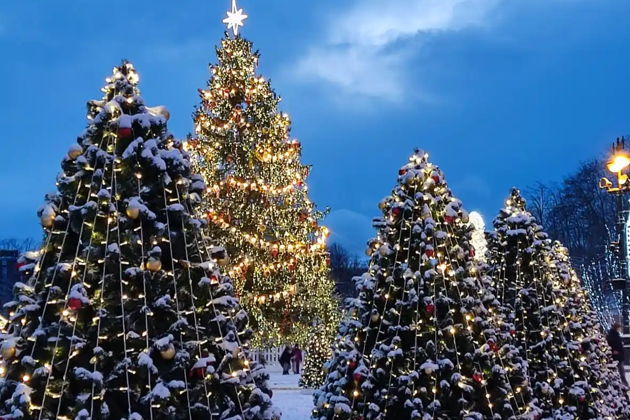 Фото экскурсии - Волшебный Кронштадт в новогодних огнях и рождественская иллюминация - 5