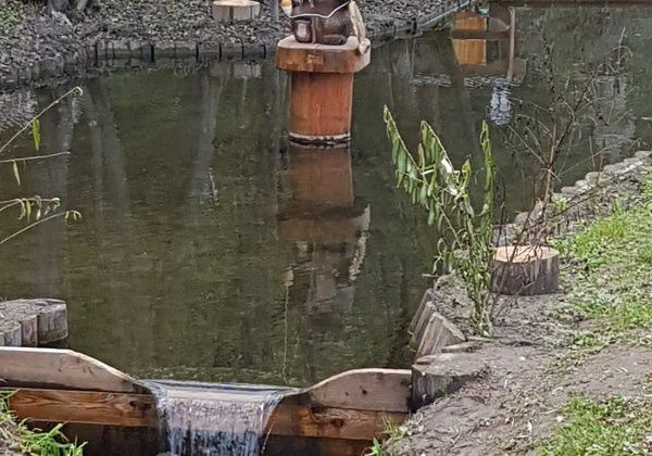 Водопад «Гремячий ключ» - фото 4