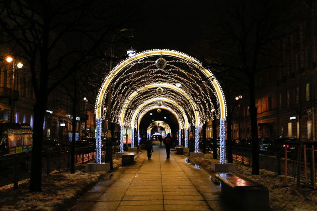 Фото экскурсии - Встречаем Новый год в стиле Петербурга праздничная прогулка с бокалом вина - 8