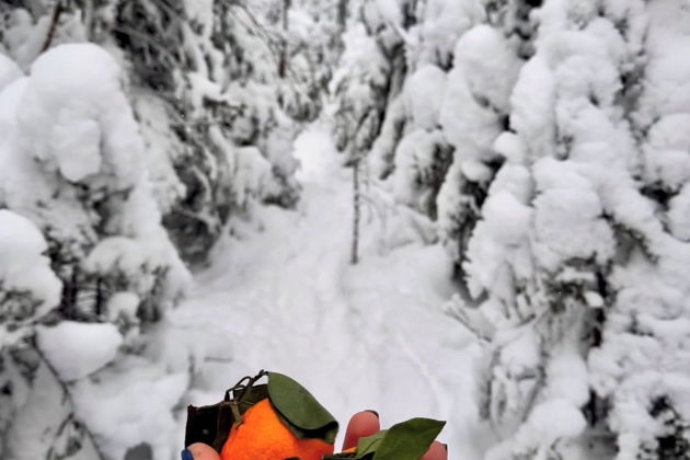 Фото экскурсии - Новогоднее путешествие по Изумрудному полуострову Гамова - 6