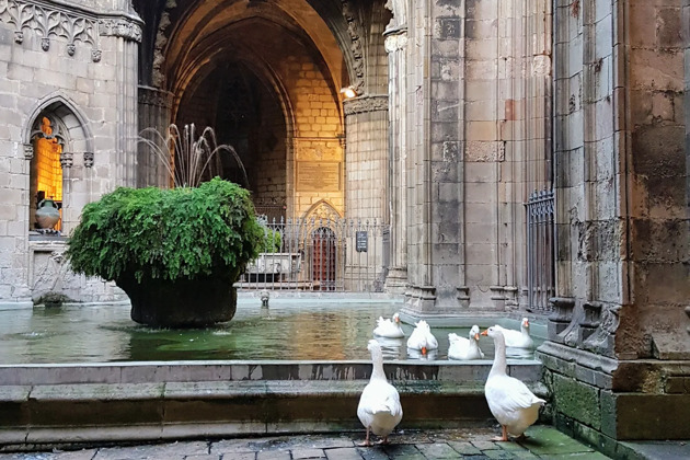 Фото - экскурсия: Авторская прогулка по трем старинным кварталам Барселоны и их секреты