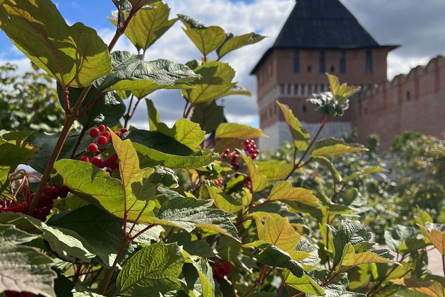 Фото экскурсии - Быстрая прогулка по Туле: выбирайте маршрут вдоль кремля или набережной - 14