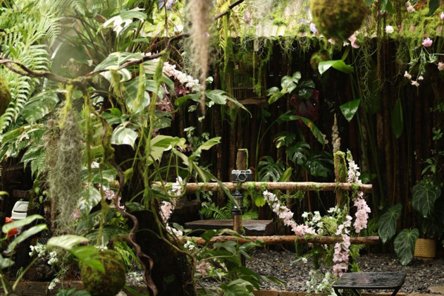 Фото - экскурсия: Фотопрогулка по Нячангу