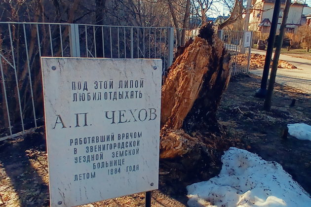 Фото экскурсии - Индивидуальная обзорная экскурсия из Москвы в Звенигород - 15