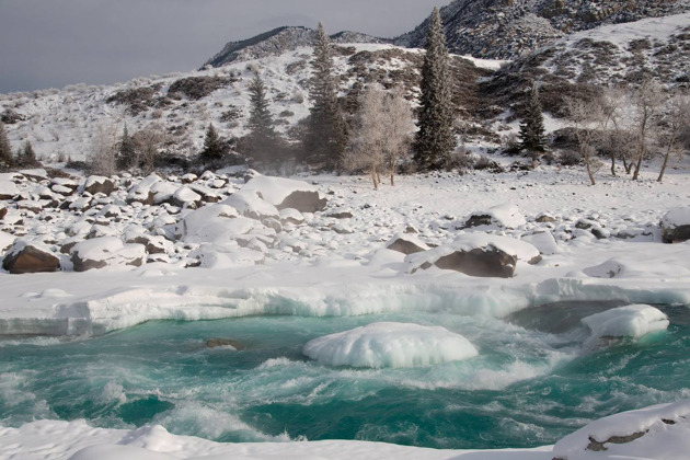 Фото - экскурсия: Откройте для себя Голубые озера Чемала и живописное урочище Чечкыш