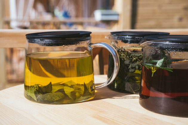 Фото - экскурсия: Погружение в алтайскую культуру с горловым пением кай дегустацией и прогулкой по Горно-Алтайску