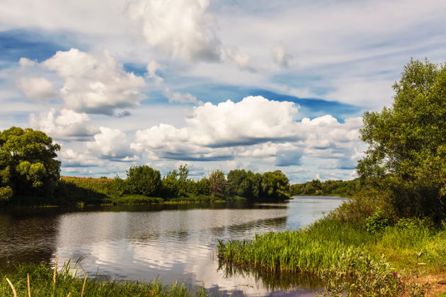 Фото экскурсии - Прогулка по Солотче: Рязанская Италия ждет вас - 5