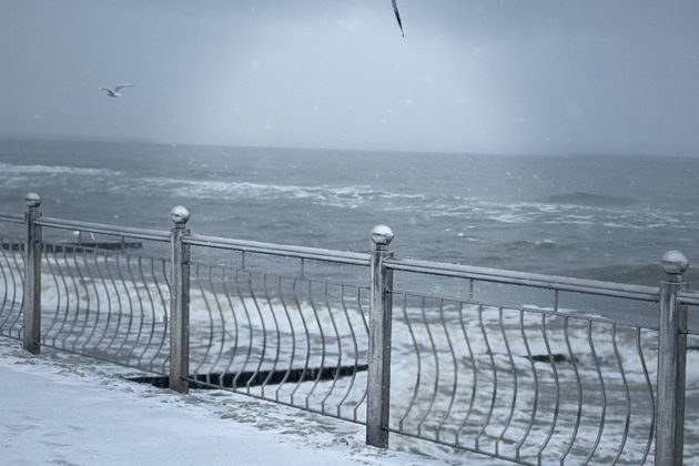 Фото экскурсии - Рождественские города Балтики: Светлогорск, Зеленоградск и сыроварня Шаакендорф - 7