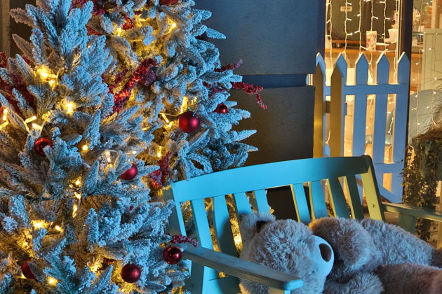 Фото экскурсии - Рождественские города Балтики: Светлогорск, Зеленоградск и сыроварня Шаакендорф - 12