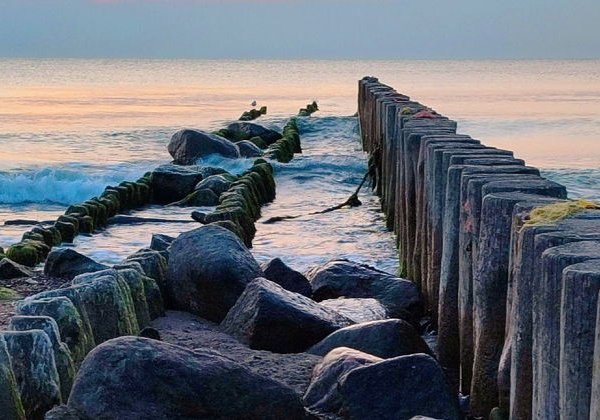 Светлогорск, Зеленоградск и сыроварня «Шаакендорф» - фото 4