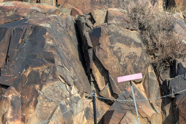 Фото экскурсии - Однодневная поездка к петроглифам Танбалы Тас объект всемирного наследия ЮНЕСКО - 1