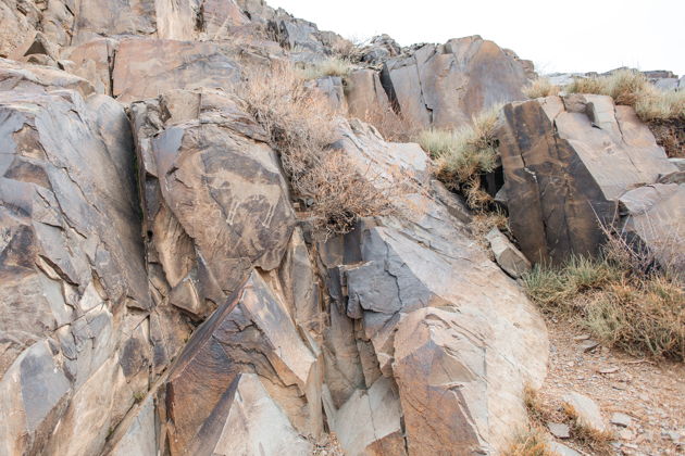 Фото экскурсии - Однодневная поездка к петроглифам Танбалы Тас объект всемирного наследия ЮНЕСКО - 4