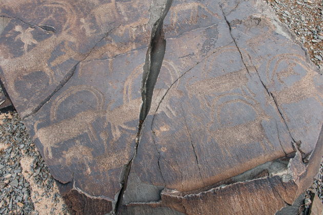 Фото экскурсии - Однодневная поездка к петроглифам Танбалы Тас объект всемирного наследия ЮНЕСКО - 7